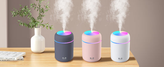 H2O Humidifier