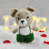 BABY BEAR BOY CROCHET PLUSH