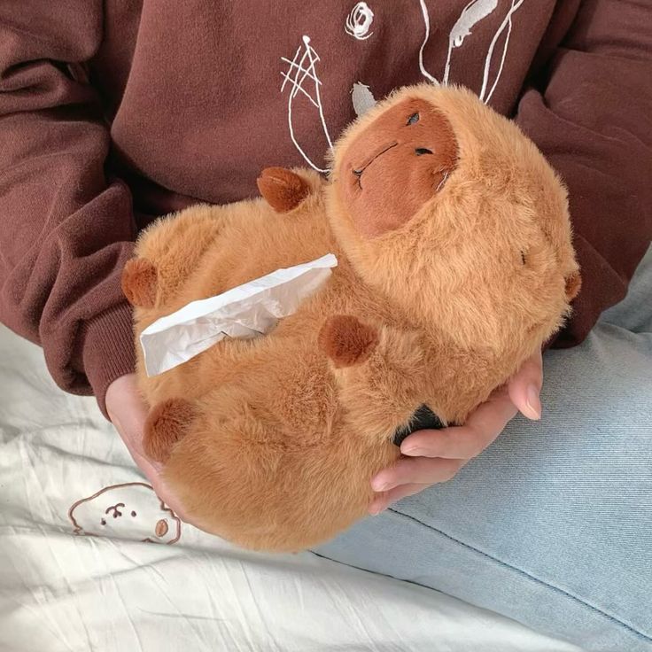 CAPYBARA TISSUE HOLDER🩷