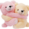 CUTE HUGGING TEDDY BEAR