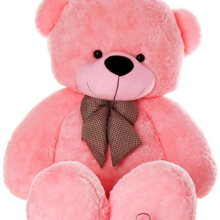 PINK BOW TEDDY BEAR