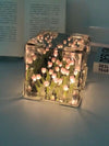 GLASS TULIP FEILD LAMP